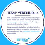 HesapVerebilirlik