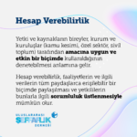 HesapVerebilirlik