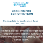 Senior Intern